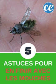 Epingle Sur Menage
