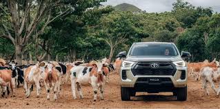 Profile for Efrén Cobos