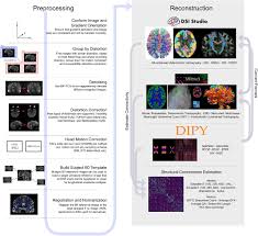 The following items may be prescribed under streamlined authority. Qsiprep An Integrative Platform For Preprocessing And Reconstructing Diffusion Mri Biorxiv