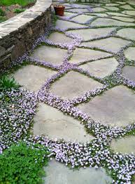 See more ideas about ground cover, plants, ground cover plants. Easy And Cool Landscape Ideas