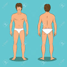 Schoolgirl sitting at desk on white. Man S Body Front And Back Naked Young Handsome Man With Good Royalty Free Cliparts Vectors And Stock Illustration Image 58752270