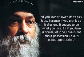 Osho flower quotes is an hd wallpaper posted in festival category. 15 Thoughtful Quotes By Osho That Will Definitely Make Life Simpler