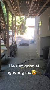 Becky Pursley (@beckypursley)’s videos with original sound