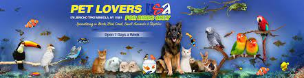 There are also many species that we have the ability to get in but do not keep in store such as hoof stock, etc. Exotic Pet Store Nassau County Exotic Birds Queens Ny