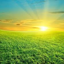 Free summer season wallpapers and summer season backgrounds for your computer desktop. Summer Season The Joy Of Fire Energy