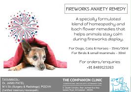 The professional and courteous staff at companion care animal hospital is committed to providing your pet with the very best medical pet care available. The Companion Clinic Home Facebook