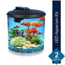 Hawkeye 2 Gallon Aquarium Starter Kit With Power Filter And Led Walmart Com Hawkeye 2 Gallon Aquarium In 2020 Fish Tank Decorations 10 Gallon Fish Tank Aquarium Kit