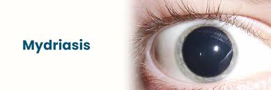 Image result for Mydriasis
