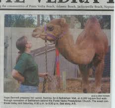Camel rides with an exotic petting zoo starting at $2100 for 2 hours. Live Animal Nativities Camels Donkeys And More For Live Nativities We Bring The Animals To Your Location In Georgia Sc Nc Alabama