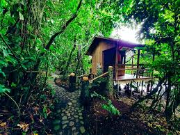 Catemaco is a county and city in veracruz state, mexico. Reserva Ecologica Nanciyaga Catemaco Aktualisierte Preise Fur 2021
