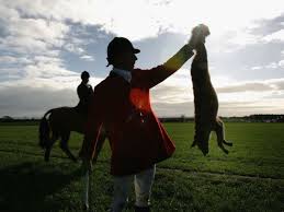 Fox hunting ban: A shabby, cynical and ...