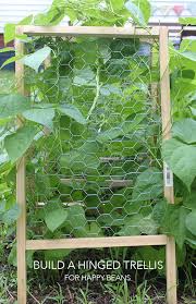Simple trellis for green beans (organic forum at permies) growing green beans almost as much as eating them. Diy Hinged Trellis For Beans The Homesteady