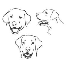 Surprising truths about the fox red labrador retriever. Free Labrador Vector Art
