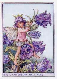Canterbury Bell Flower Fairy Vintage Print 1950 S Cicely Etsy In 2020 Fairy Art Fairy Pictures Vintage Fairies