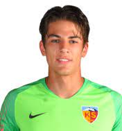 Maybe you would like to learn more about one of these? Player Dogan Alemdar