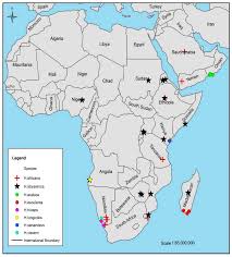 Image result for Hydnora abyssinica