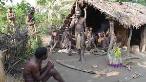 Our vaccination dataset uses the most recent official numbers from governments and health ministries worldwide. Vanuatu Inseln Der Magie Und Lebendiger Tradition Terra Discovery Tours