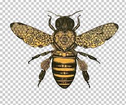 We did not find results for: Honey Bee Drawing Bumblebee Png Clipart Art Arthropod Art Museum Bee Beehive Free Png Download
