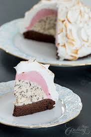 Baked Alaska Recipe In 2020 Baked Alaska Baking Desserts