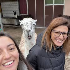 cosateam #cosatravel #dmcswitzerland #andermatt #switzerlandexperts  #luxurytravel #siteinspection #alpineadventure #authenticexperiences  #swissculture #travelinspiration #chediandermatt #swisstravel…