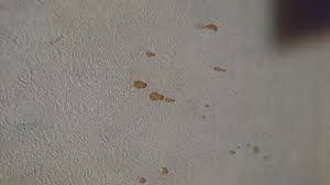 Painters will cover detectors in this fashion if spray painting to prevent the paint particles from. Yes That Is A Plastic Bag Over The Smoke Alarm And When We Told Receptionist All We Got Was Oh Picture Of Norbreck Castle Hotel Blackpool Tripadvisor