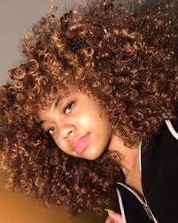 Pinterest Yagurlfaith Curly Hair Styles Naturally Honey Brown Hair Dyed Natural Hair