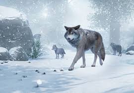 Their shelters will always be near a water source. Timber Wolf Planet Zoo Wiki Fandom
