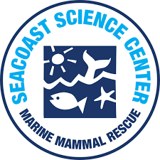 SSC Marine Mammal Rescue | Rye NH