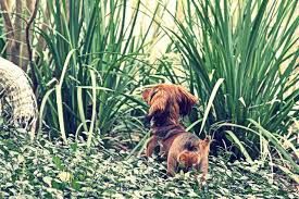 What A Wonderful World...