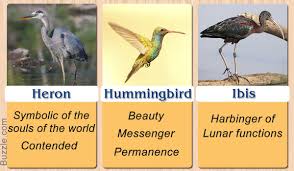 Different Birds And Their Meanings Pretty Enthralling Bird Symbolism And Their Meanings Animal Spirit Guides Sparrow Symbolism Symbols