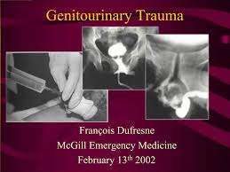 Image result for Genitourinary Trauma