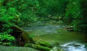 Nature Wallpaper 4k Hd For Phone 1024x600 Download Hd Wallpaper Wallpapertip Available in hd, 4k resolutions for desktop & mobile phones. nature wallpaper 4k hd for phone