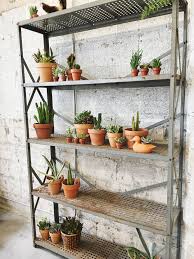 Check the soil of your succulent occasionally and water your succulent when the soil becomes dry. How Much And How Often To Water Succulents Retro Den Vintage Furniture And Homewares