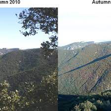 The quickest method being the pest control teleport, which is a reward from treasure trails and can be bought on the grand exchange. Pdf Satellite Data As Indicators Of Tree Biomass Growth And Forest Dieback In A Mediterranean Holm Oak Forest