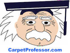 Types Of Carpet Padding Carpetprofessor Com
