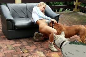 Dog Fucks Woman Sex Sex Pictures Pass