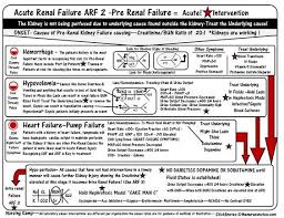 Calcium Kidney Stones Nurse Nursing Notes Renal Failure