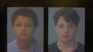 Danika Troy, 14, was allegedly killed by 14-year-old Kimahri Blevins and  16-year-old Gabriel Williams. Here's what to know.