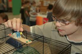 Grassroots invention