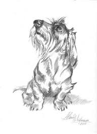 Black And White Dachshund Drawing Electronics Cars Fashion Collectibles Coupons And More Ebay Dachshund Art Dachshund Drawing Wire Haired Dachshund