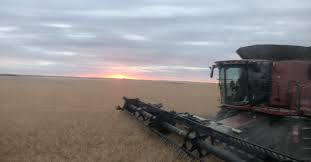 Adam MacVean (@blkadda) • Instagram photos and videos