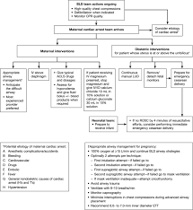 What details do you have? Cardiac Arrest In Pregnancy Circulation