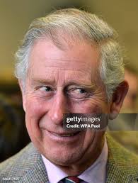 225 Toby Gregory Stock Photos, High-Res Pictures, and Images