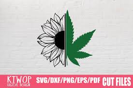 Download Sunflower Cannabis 2020 Graphic By Ktwop Creative Fabrica PSD Mockup Templates