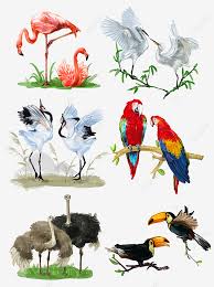 We did not find results for: Gambar Ilustrasi Set Burung Besar Gaya Hidup Cat Air Penukaran Jualan Nilai Tambah Jenama Kebun Binatang Burung Besar Flamingo Kuntul Mahkota Merah Mahkota Burung Unta Burung Unta Cat Air Smudge Angin Yang