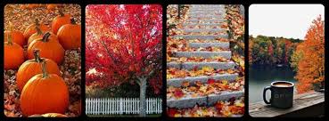 We did not find results for: Fall Facebook Cover Photo Autumn Leaves Pumpkins Fall Trees Fall Facebook Cover Photos Fall Facebook Cover Fall Cover Photos