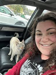 Lost Cat in Flagstaff Rio Homes Area