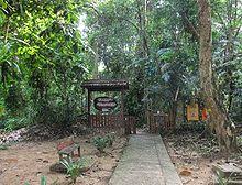 Konklusinya, hutan simpan di negara kita haruslah dikekalkan untuk tatapan generasi yang akan datang. Taman Negara Wikipedia