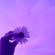 Aesthetic Purple Wallpaper Purple Aesthetic Violet Aesthetic Dark Purple Aesthetic