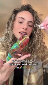 The latest reptile news, videos & comments